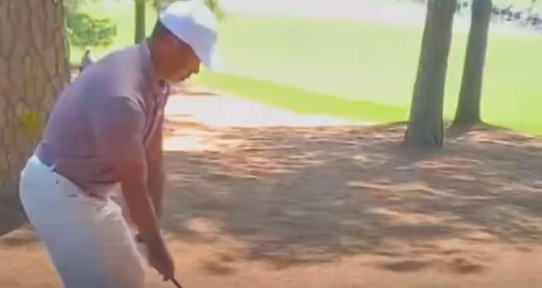 Har du set klippet? Tiger Woods skyder skævt og sender en fan i jorden